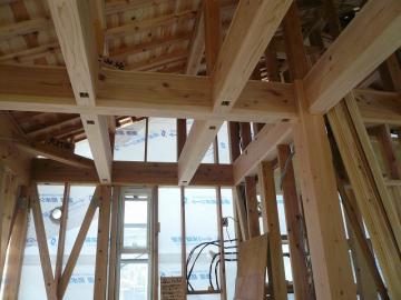 大暑に構造見学会