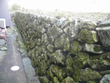 でんでん虫がいたっ！！