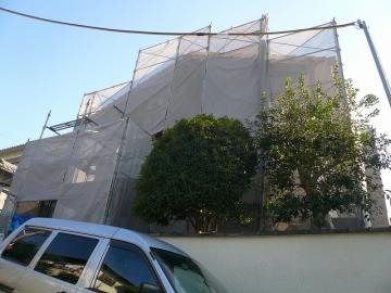 スギ板張りがスタートです