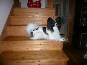 うまい話にゃ裏がある