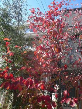 １回目の見積もり提示です