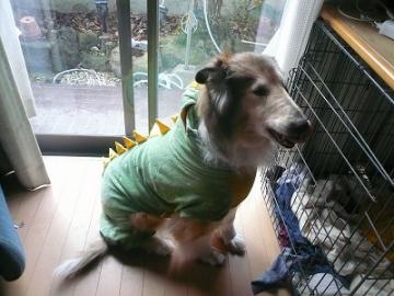 自然素材で減築のリノベーション