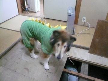 ＭＡＭＩＥさんの伝えたいこと